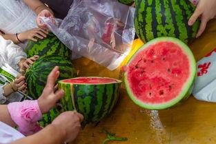 周围都是吃瓜视频,揭秘周边吃瓜视频的疯狂世界