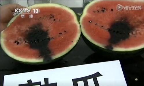 周围都是吃瓜视频,揭秘周边吃瓜视频的疯狂世界