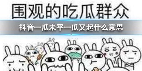 抖音吃瓜会员,揭秘网红圈幕后故事