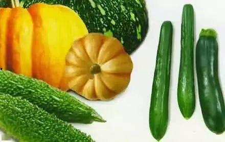 吃瓜鬼谷,探寻神秘瓜界传奇