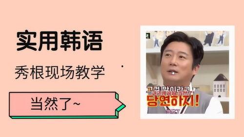 韩语小品吃瓜,吃瓜群众的欢乐喜剧之旅