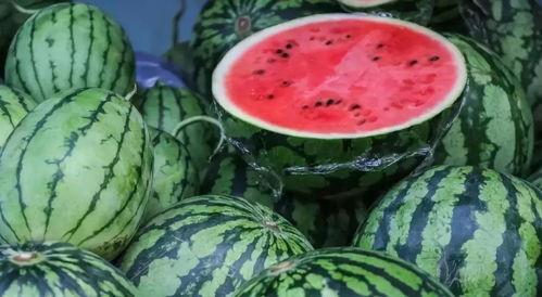 798吃瓜语音厅,揭秘京城艺术区的欢乐声音盛宴