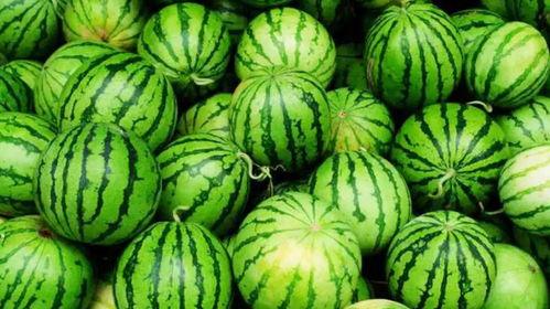 工作就是吃瓜,吃瓜成瘾，揭秘办公室“瓜田”趣事