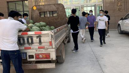 保定吃瓜新闻,揭秘当地热点事件背后的真相与热议