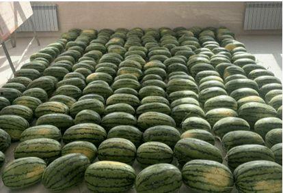 保定吃瓜新闻,揭秘当地热点事件背后的真相与热议