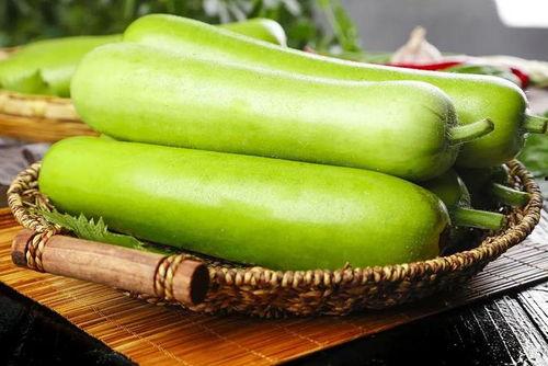 日常吃的瓜有哪些,盘点常见美味瓜类