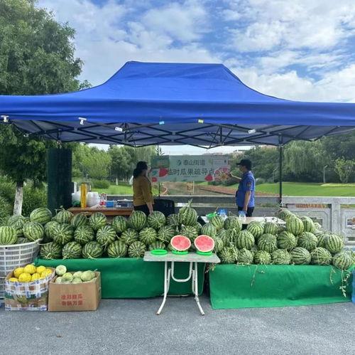 吃瓜群众新县,揭秘乡村生活新风尚