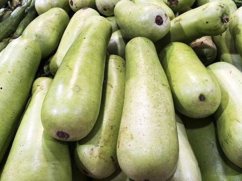 瓠子瓜怎么没人吃,为何鲜为人知的美食佳品
