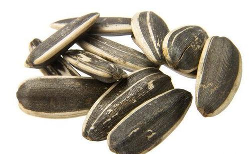 吃瓜吃瓜子能减肥吗,揭秘减肥新方法？