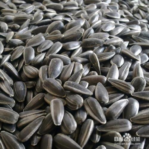 吃瓜吃瓜子能减肥吗,揭秘减肥新方法？