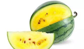 瓜在哪里吃,品味生活——探寻瓜在哪里吃的奇妙之旅