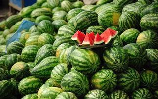 卖瓜姐吃瓜,自己先尝一尝