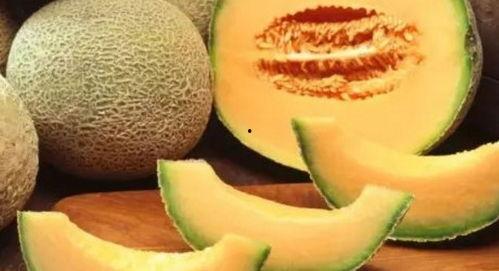 光头强一边吃哈密瓜吗,光头强独享哈密瓜的悠闲时光