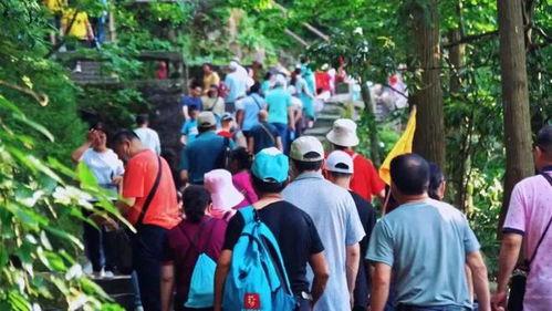 旅游老年团吃瓜,老年团旅游美食之旅