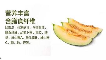矮冬瓜吃哈密瓜不吃瓜哈密,偏爱哈密瓜，拒绝瓜哈密