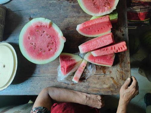 烂瓜吃没了,烂瓜吃没了的智慧启示