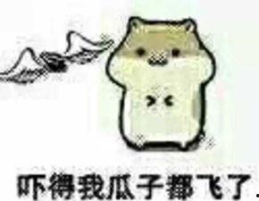 吃瓜抱抱表情包可爱,吃瓜抱抱表情包的可爱魅力