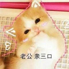 吃瓜抱抱表情包可爱,吃瓜抱抱表情包的可爱魅力