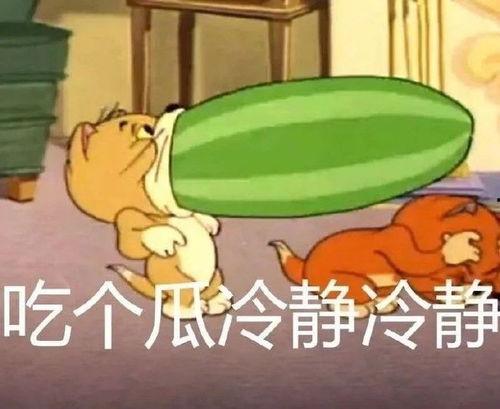 猫和老鼠吃瓜君,吃瓜君视角下的欢乐对决