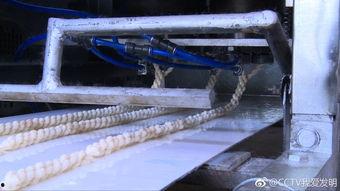 我爱发明吃瓜机,揭秘“我爱发明”中的智能吃瓜机