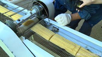 我爱发明吃瓜机,揭秘“我爱发明”中的智能吃瓜机