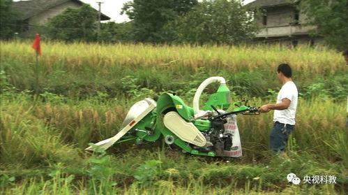 我爱发明吃瓜机,揭秘“我爱发明”中的智能吃瓜机