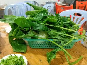 潮州父女吃瓜,一场味蕾与情感的碰撞