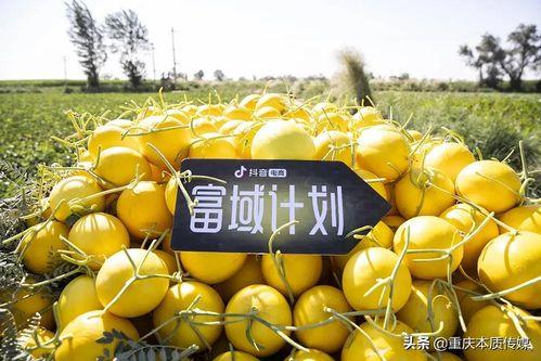 抖音海月吃瓜,揭秘网红幕后故事