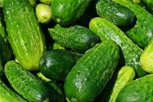 梦见和情人吃瓜,与情人共享的浪漫瞬间