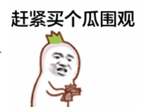 诡异吃瓜表情包,网络文化中的另类现象