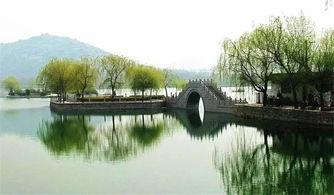 邹城唐王湖吃瓜,一场别开生面的吃瓜体验