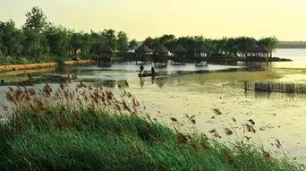 邹城唐王湖吃瓜,一场别开生面的吃瓜体验