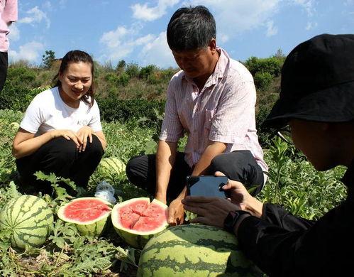 广西吃瓜的群众,品味生活，畅谈天下