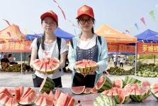 广西吃瓜的群众,品味生活，畅谈天下