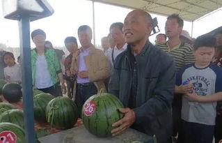 夏邑吃瓜群众故事,吃瓜群众的传奇故事