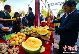 老挝最新吃瓜新闻,吃瓜群众纷纷围观