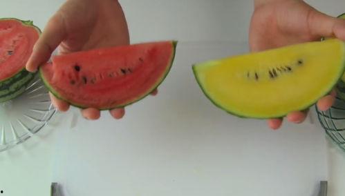 美国五胞胎吃瓜,美国五胞胎的甜蜜“吃瓜”之旅