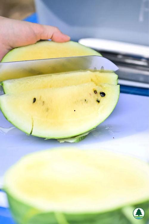 吃瓜本瓜图片,揭秘吃瓜本瓜的神秘魅力