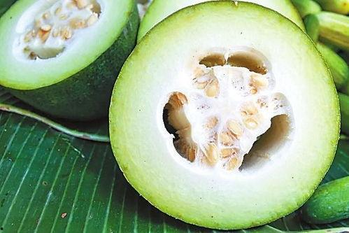 吃瓜本瓜图片,揭秘吃瓜本瓜的神秘魅力