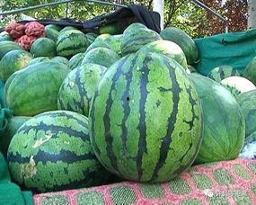 吃瓜误解,揭秘网络谣言背后的真相