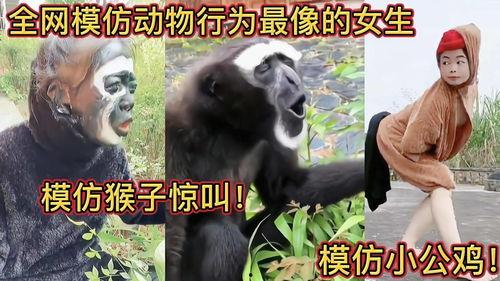 女人吃瓜像个猴,女性吃瓜如猴，揭秘现代女性“猴性”吃瓜文化