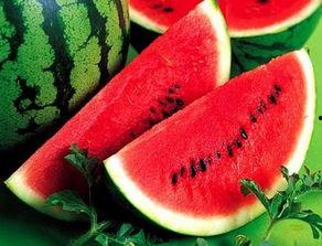 卖瓜谁吃西瓜,揭秘瓜农的甜蜜生活