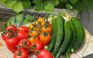 金达莱教练吃瓜