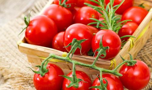 金达莱教练吃瓜