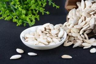 吃瓜小熊动物麦麸