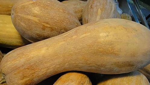 春天可以吃白瓜吗