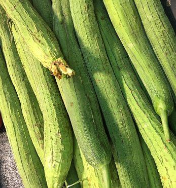 根瓜的吃发,从田间到餐桌的味蕾之旅