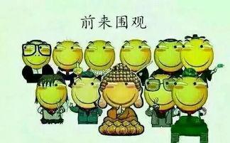 吃瓜群众fiona,揭秘娱乐圈幕后故事