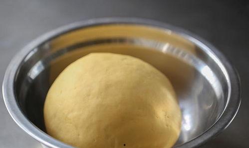 柠檬小黄鸭吃瓜,柠檬小黄鸭的瓜界探险记