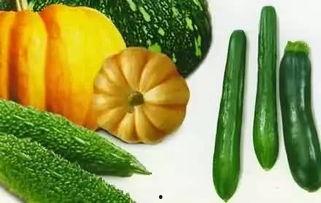 感性吃瓜,揭秘娱乐圈幕后故事